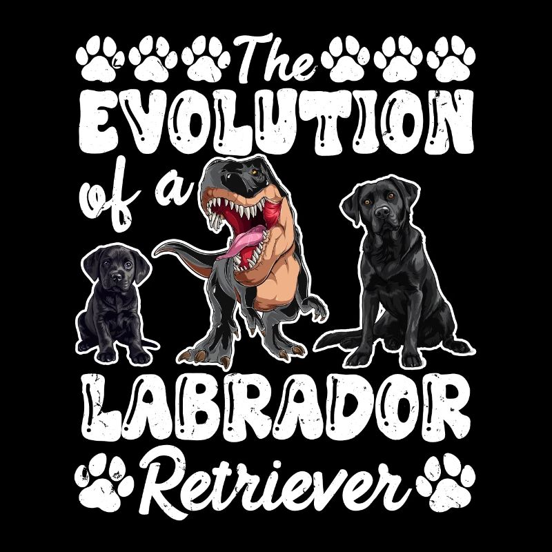 Dog owners THE EVOLUTION OF A LABRADOR
