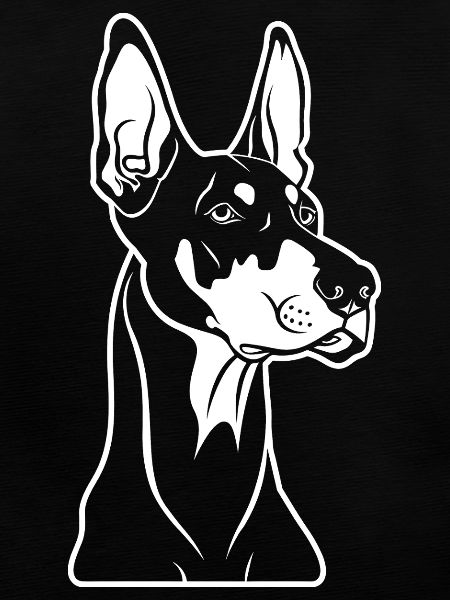 dobermann