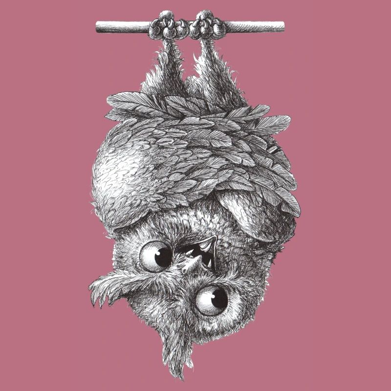 Vampir Eule - Dracula Eule