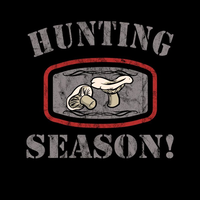 Cueillette de champignons