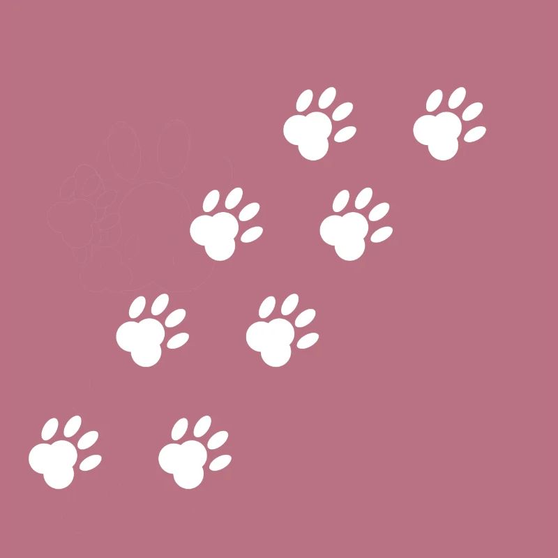 Empreintes de pattes
