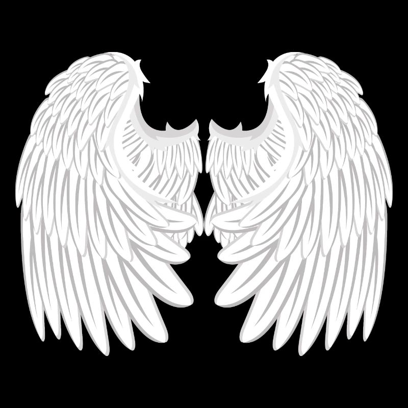 Ailes d'anges
