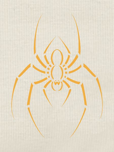 Spinne