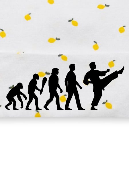 Karate Evolution