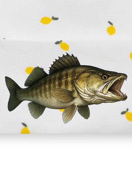 Zander