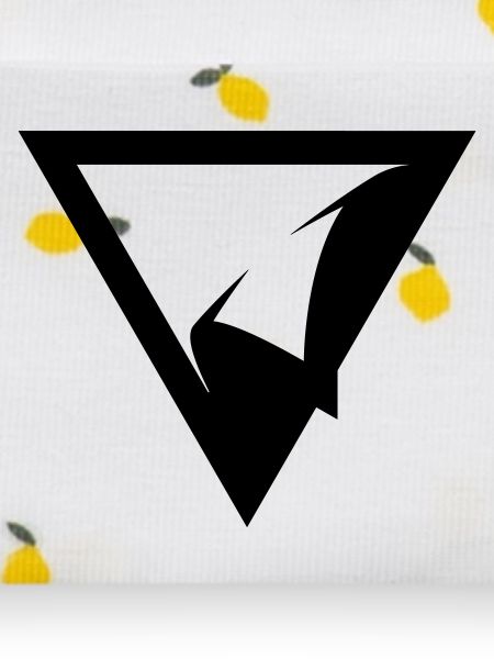 TRIANGLE PATCH