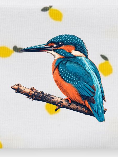 Eisvogel Risograph