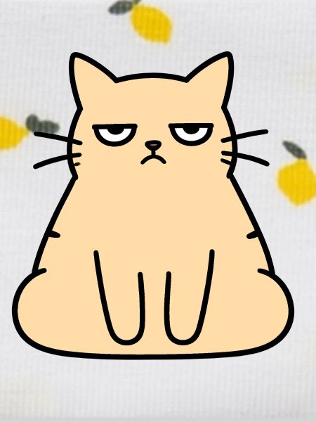 Grumpy Lounge-Katze