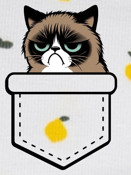 grumpy 