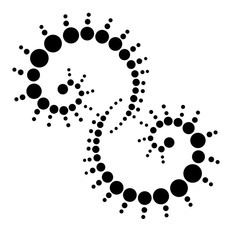 fossil2