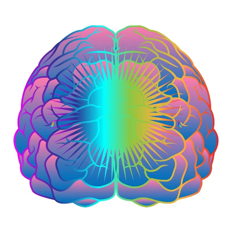 Brain template brain cell brain psychology