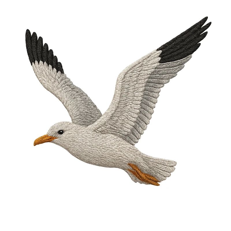 Möwe