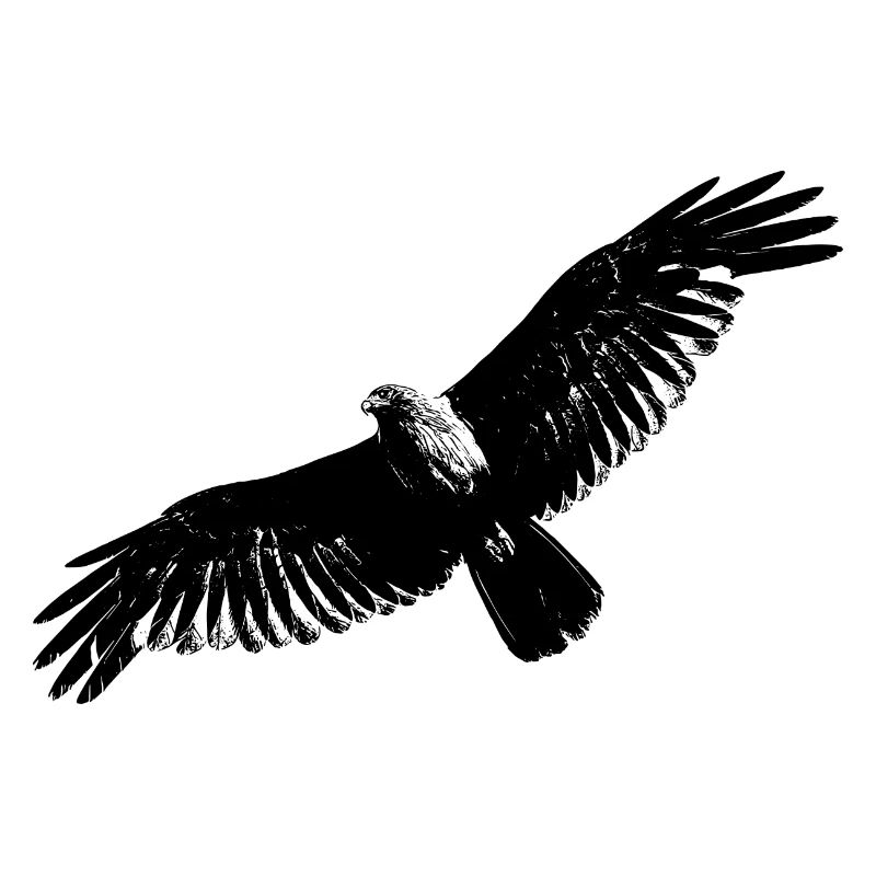 Aigle volant Chasseur