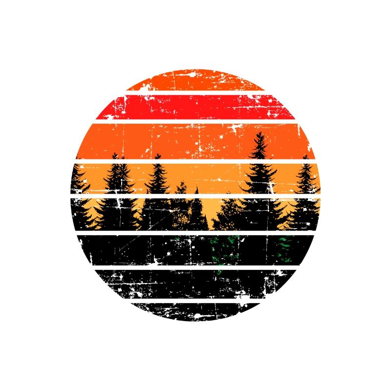 Fir Forest Sunset Nature