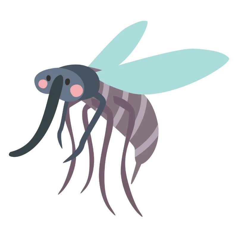 mosquito