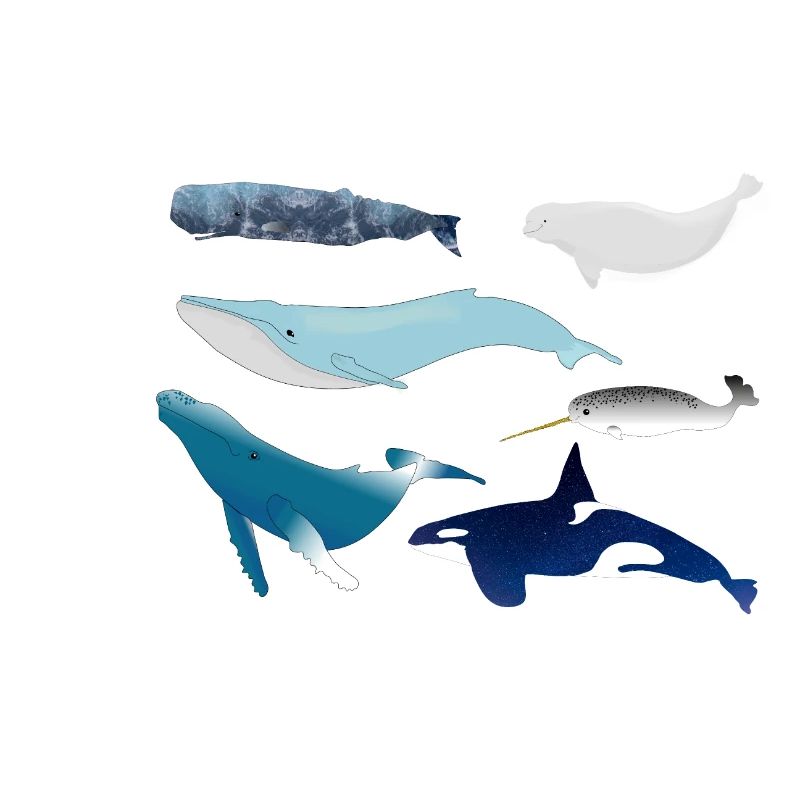 baleines