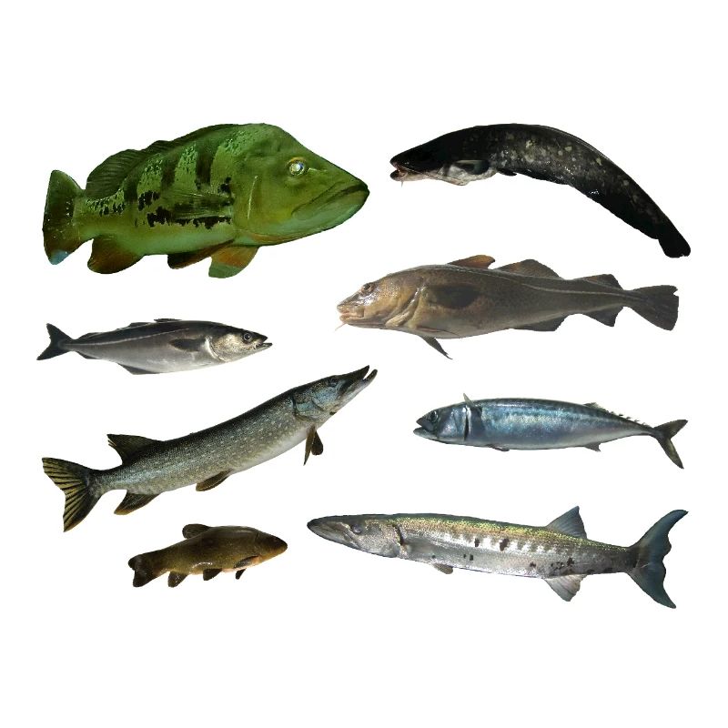 Pisces