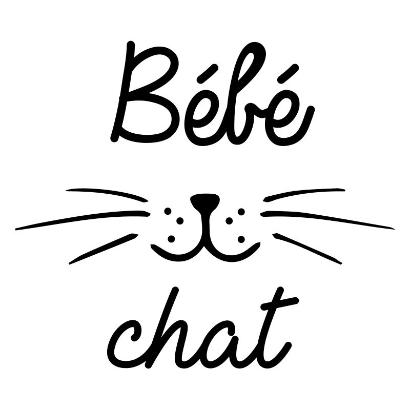Bébé chat