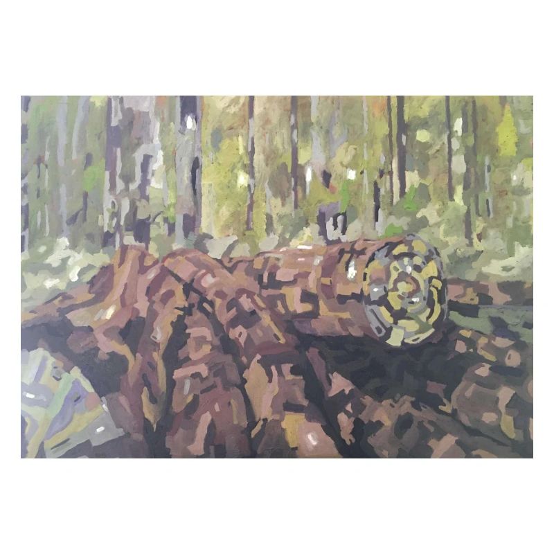 Logs in the forest – an impressionistic landscape