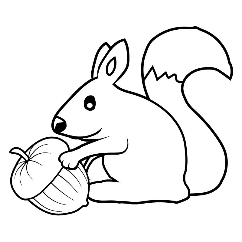 Fröhliches Eichhörnchen Eichel