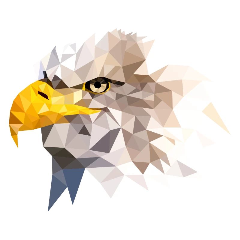 Bald Eagle Sea Eagle American Eagle Eagle