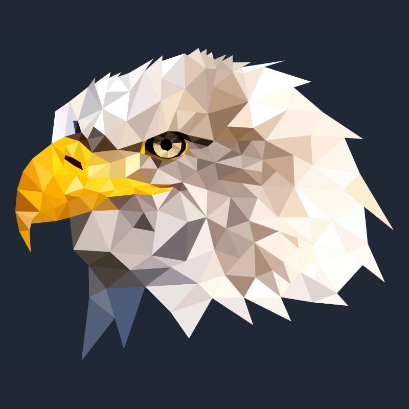 Bald Eagle Sea Eagle American Eagle Eagle