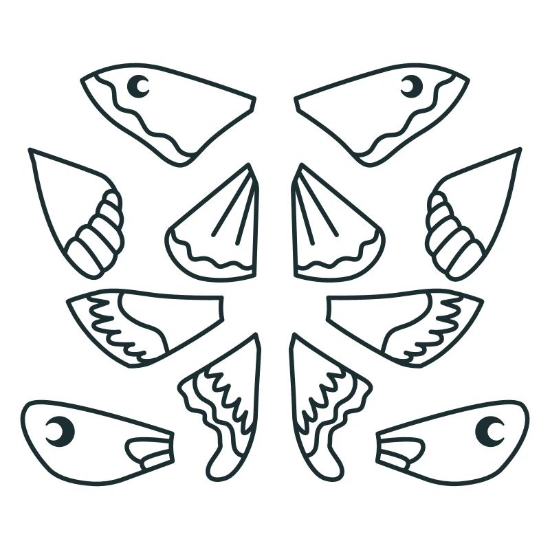 Sélection d’ailes de papillon de nuit