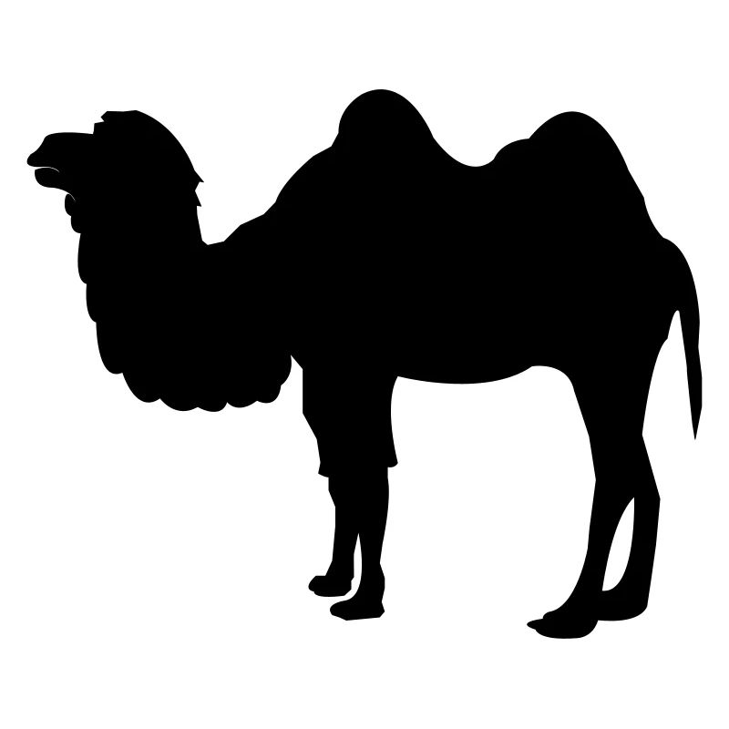 kamel