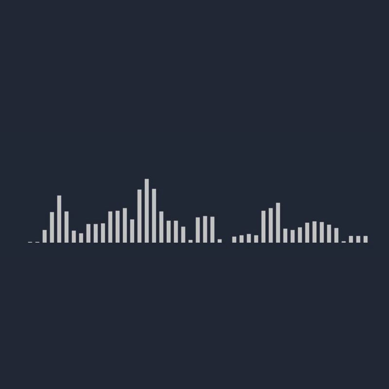 Visualizer