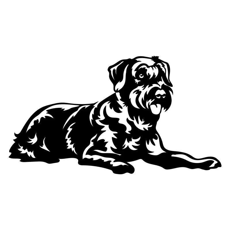 Schnauzer géant