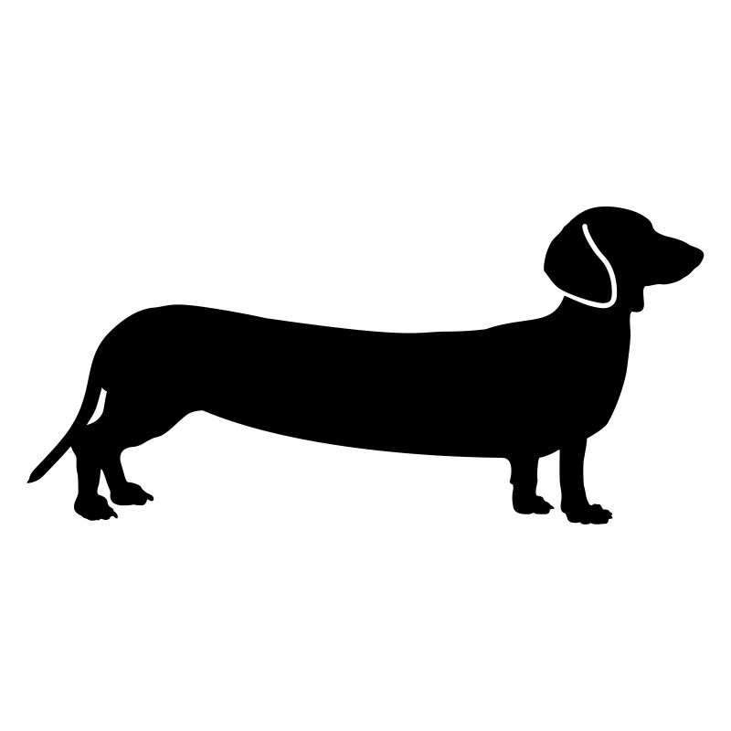chiens