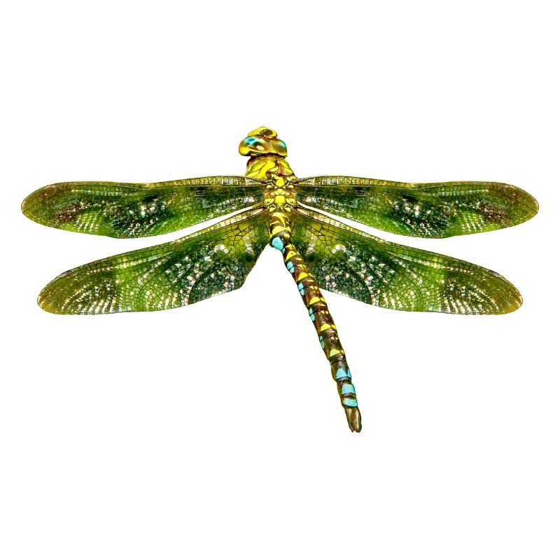 libellule