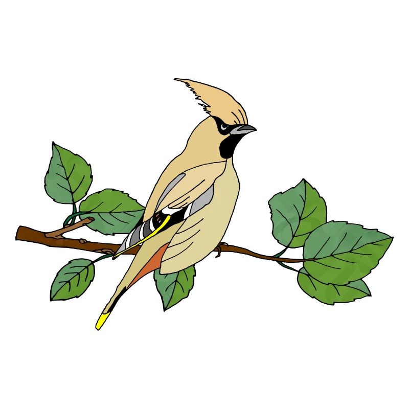 Bunter Vogel