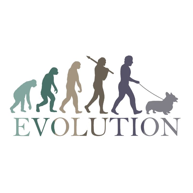 L’ÉVOLUTION DE LA CORGA