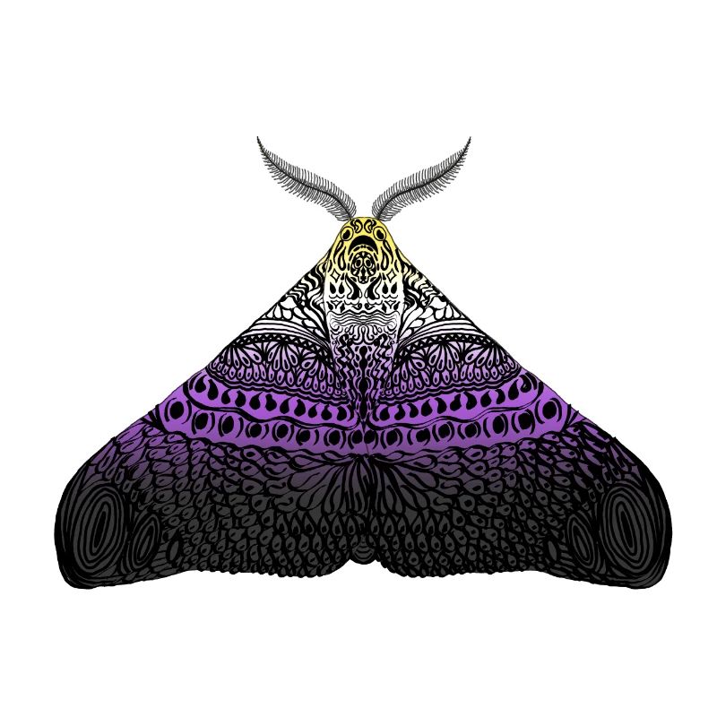 Non binary pride moth
