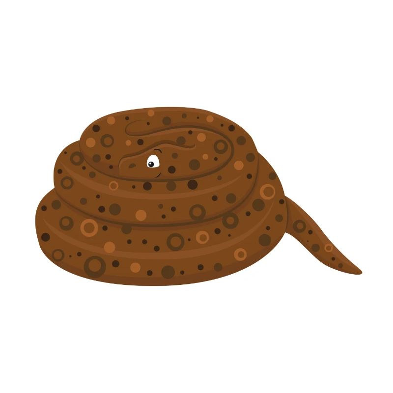 Rock python