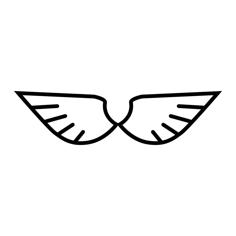 Wings