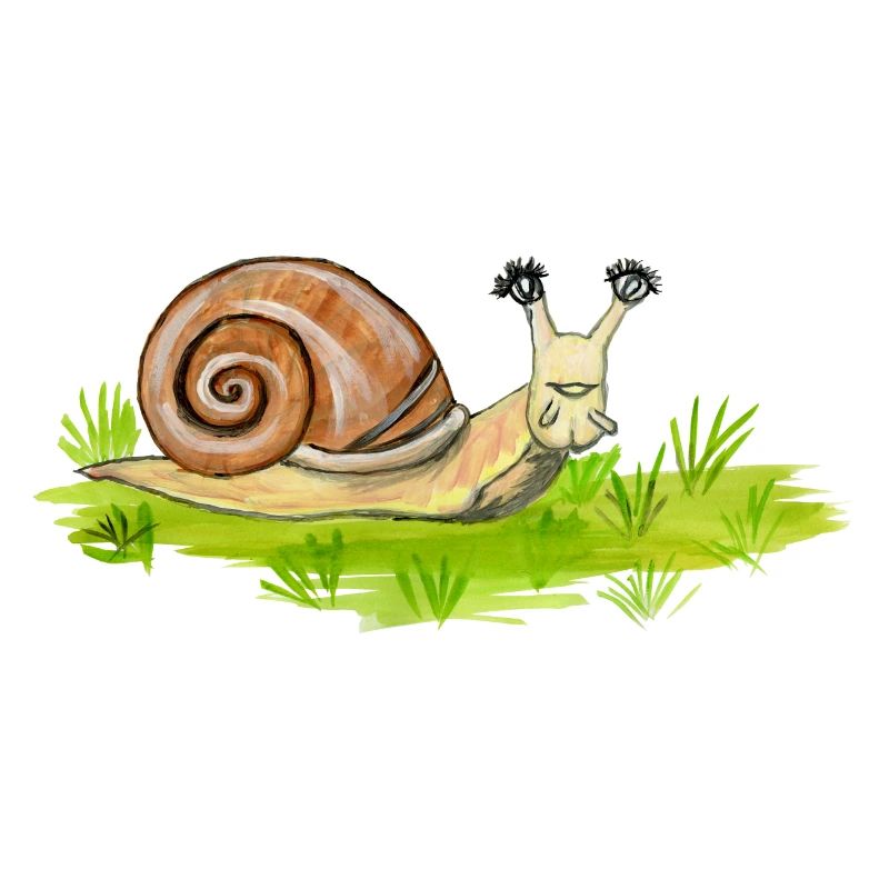 escargot rigolo