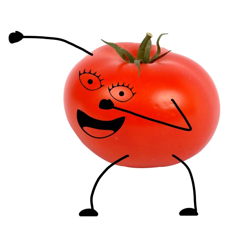 tomate au geischt