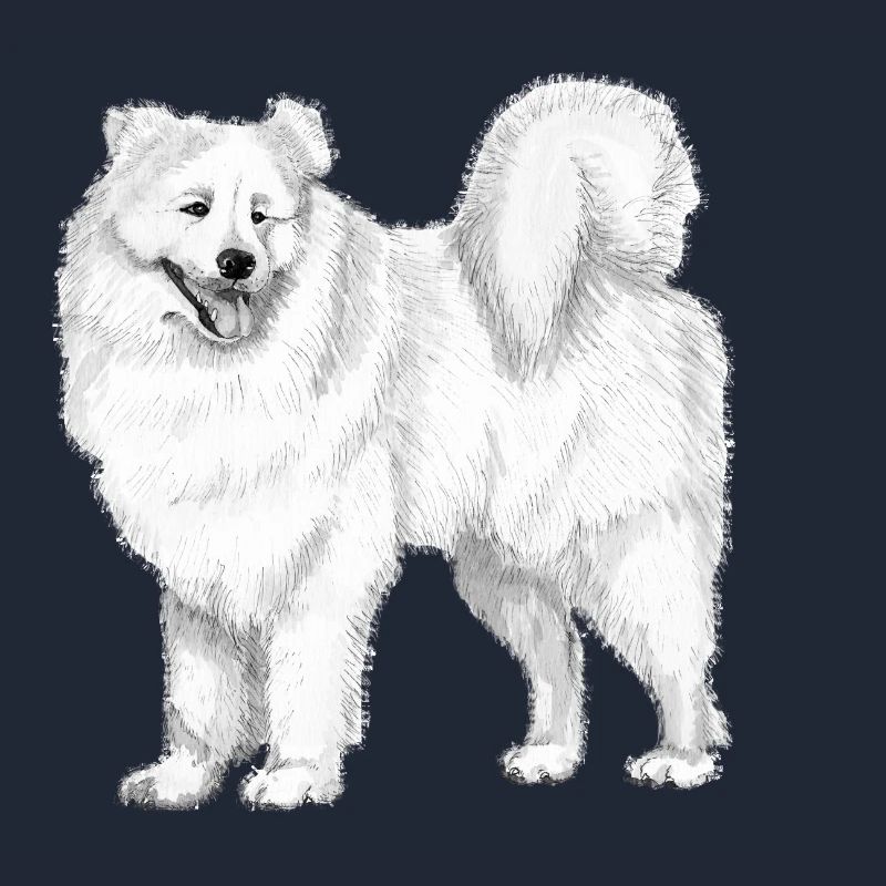 samoyed