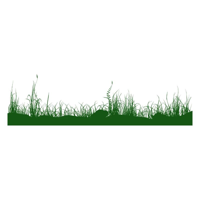 Herbe, sol, prairie, prairie herbeuse