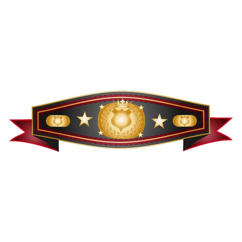 Strahlender Box-Gürtel – Champion Gürtel Design