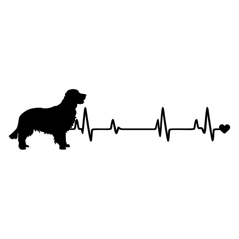 Chien