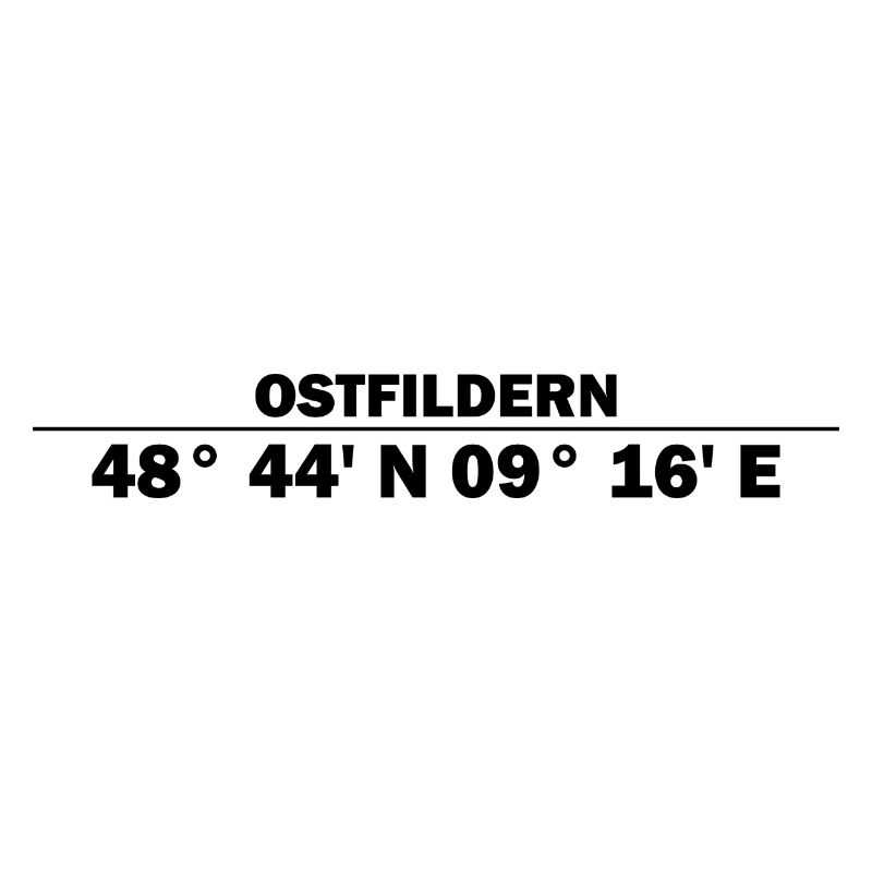 Coordonnées d’Ostfildern