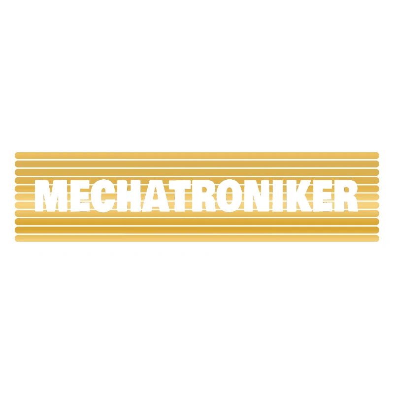 Mechatronics Engineer