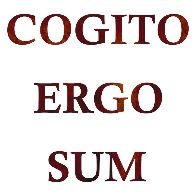 Cogito Ergo Sum