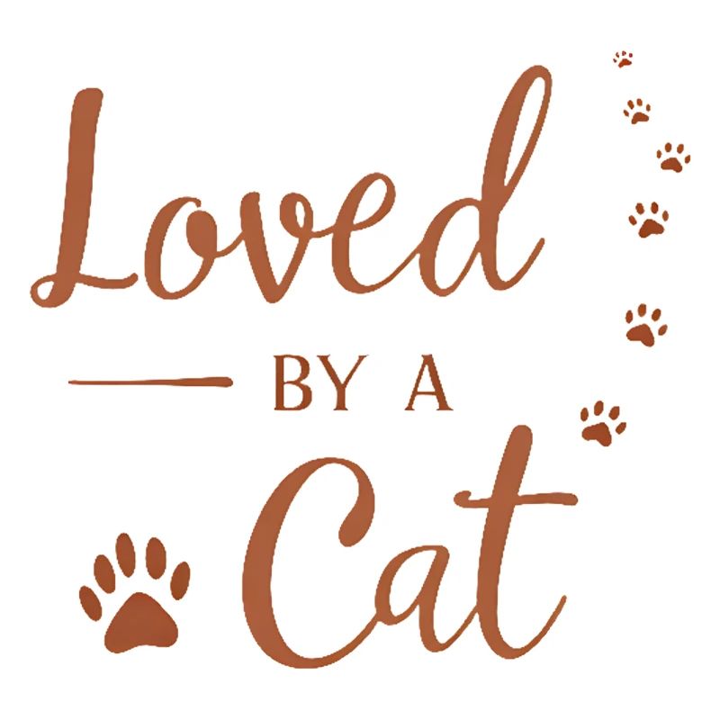 Aimé par un chat