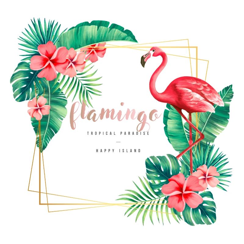 flamant rose3