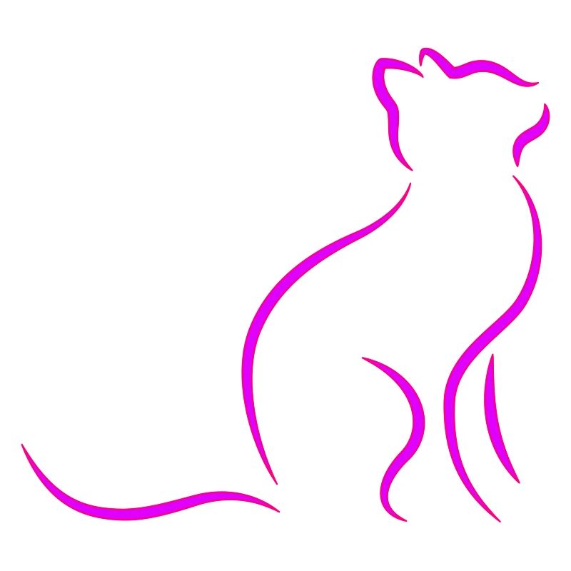 chat