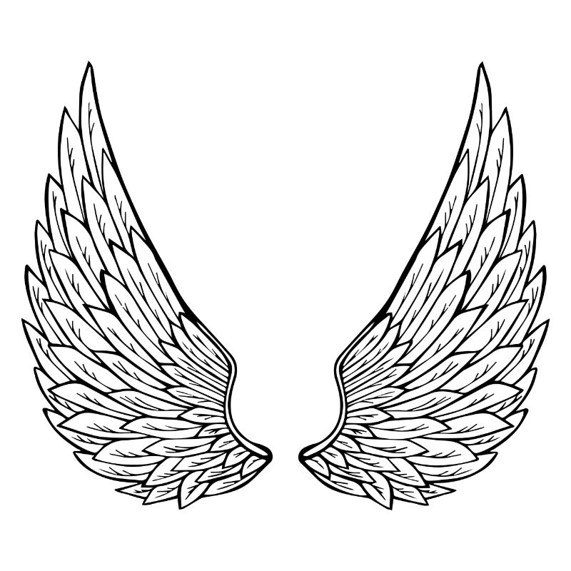ailes d'anges